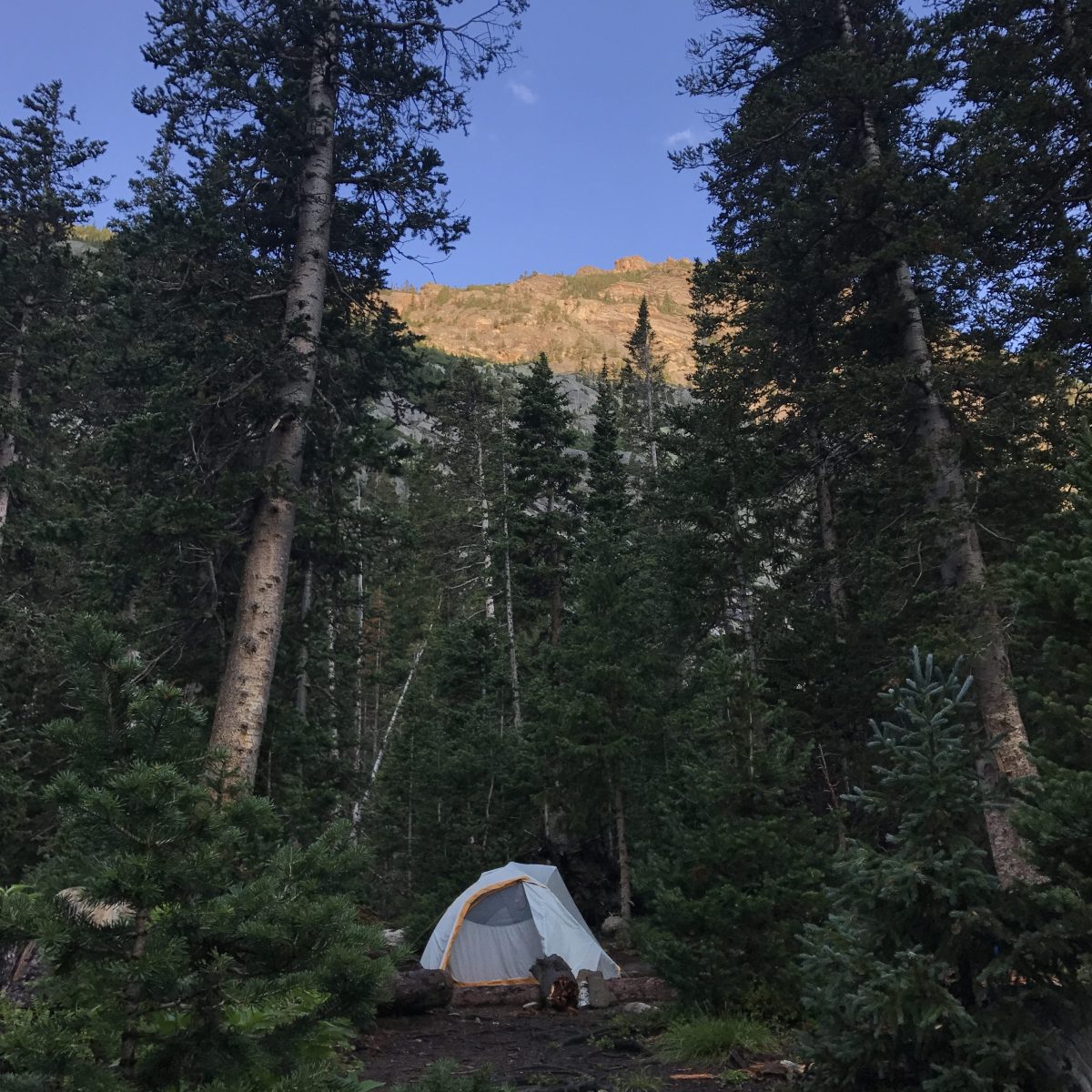 Camping 101: What Do I Need?